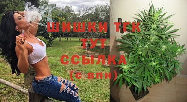 экстази Арсеньев