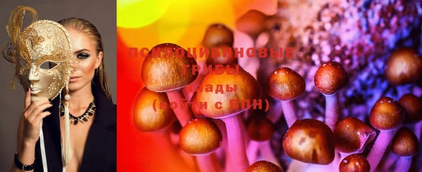 прущие крисы Аркадак